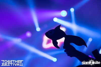Together Festival 2018 (Album 1, Day 2) — photo 47
