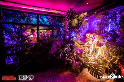 CLAP & Bacardi present Wild Things Party at DEMO — photo 3