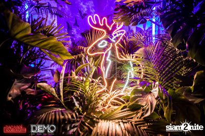 CLAP & Bacardi present Wild Things Party at DEMO — photo 4