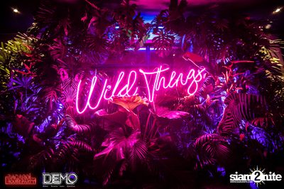 CLAP & Bacardi present Wild Things Party at DEMO — photo 5