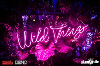 CLAP & Bacardi present Wild Things Party at DEMO — photo 6
