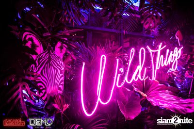CLAP & Bacardi present Wild Things Party at DEMO — photo 7
