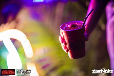 CLAP & Bacardi present Wild Things Party at DEMO — photo 23