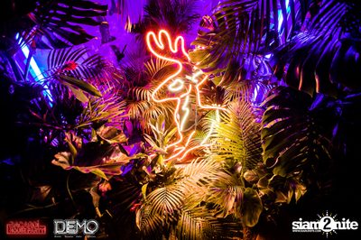 CLAP & Bacardi present Wild Things Party at DEMO — photo 26