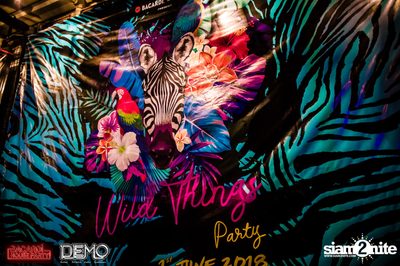 CLAP & Bacardi present Wild Things Party at DEMO — photo 27