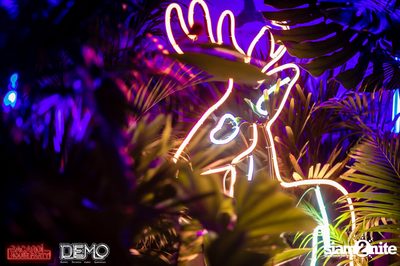 CLAP & Bacardi present Wild Things Party at DEMO — photo 47
