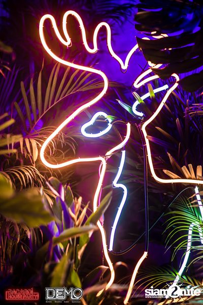 CLAP & Bacardi present Wild Things Party at DEMO — photo 48