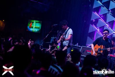 Potato ที่ ดิฟเฟอร์ ผับ พัทยา — photo 118