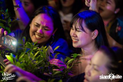 Peck Palitchoke at Wine Republic — photo 81