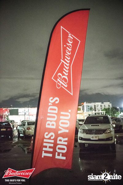 This Bud's For You at 20Something Bar — photo 1