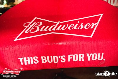 This Bud's For You at 20Something Bar — photo 17