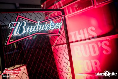 This Bud's For You at Route 66 — photo 5