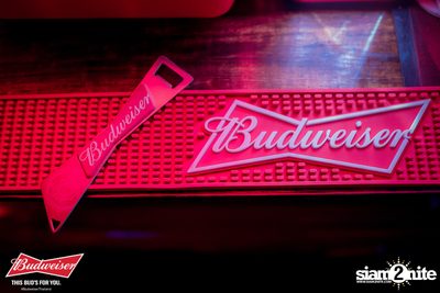 This Bud's For You at Route 66 — photo 44