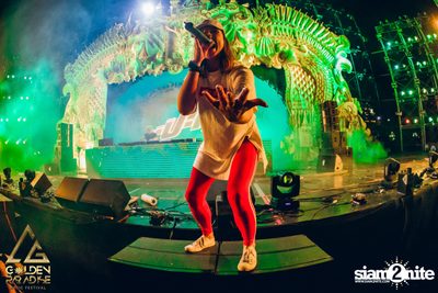 Golden Paradise Music Festival (Album 1, Day 1) — photo 222