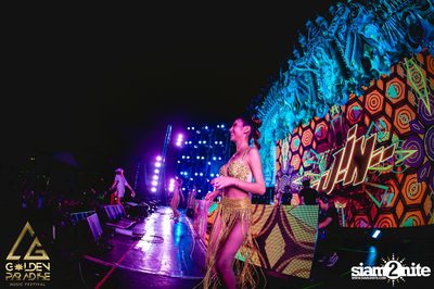 Golden Paradise Music Festival (Album 2, Day 1) — photo 151