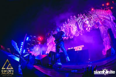 Golden Paradise Music Festival (Album 3, Day 1) — photo 166