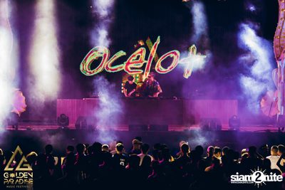Golden Paradise Music Festival (Album 1, Day 2) — photo 54