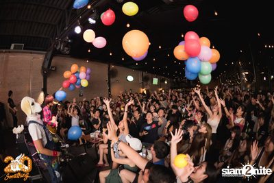 Paradox at 20Something Bar — photo 83