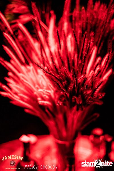 Jameson Black Barrel - Fire on Ice ที่ แม็กกี้ ชูส์ — photo 9