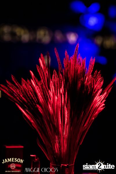 Jameson Black Barrel - Fire on Ice ที่ แม็กกี้ ชูส์ — photo 30