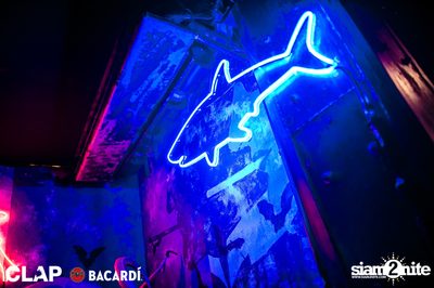 CLAP x Bacardi present Cruise Club Party at Demo — photo 13