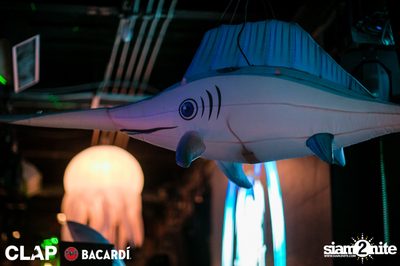 CLAP x Bacardi present Cruise Club Party at Demo — photo 18