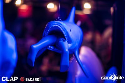 CLAP x Bacardi present Cruise Club Party at Demo — photo 19