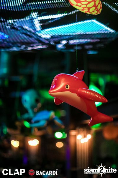 CLAP x Bacardi present Cruise Club Party at Demo — photo 22