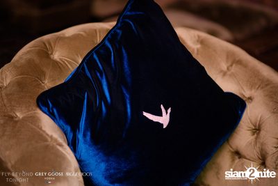 Fly Beyond Tonight presents Thomas Gold — photo 45