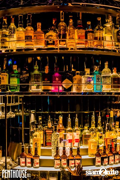 The Traveler's Evening at Penthouse Bar and Grill — photo 58