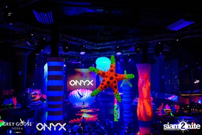 Fly Beyond Tonight: The Secret of Riviera | ONYX — photo 7