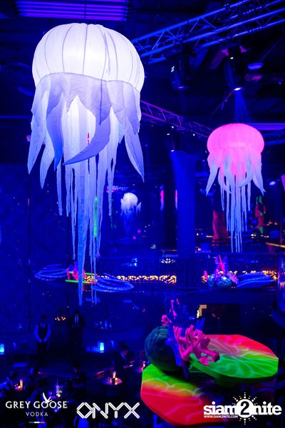 Fly Beyond Tonight: The Secret of Riviera | ONYX — photo 8