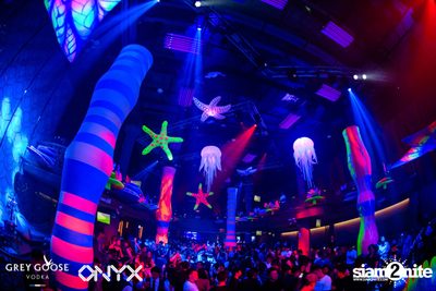 Fly Beyond Tonight: The Secret of Riviera | ONYX — photo 64