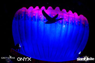 Fly Beyond Tonight: The Secret of Riviera | ONYX — photo 65