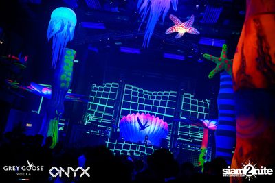 Fly Beyond Tonight: The Secret of Riviera | ONYX — photo 67