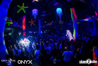 Fly Beyond Tonight: The Secret of Riviera | ONYX — photo 79