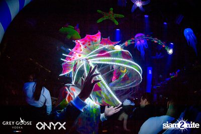 Fly Beyond Tonight: The Secret of Riviera | ONYX — photo 80