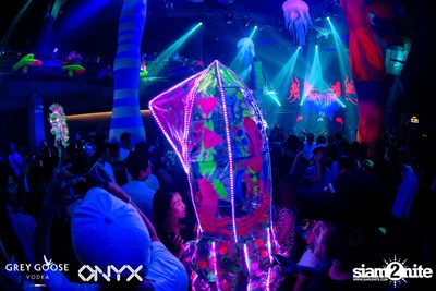 Fly Beyond Tonight: The Secret of Riviera | ONYX — photo 82