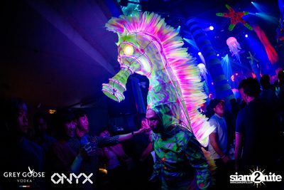 Fly Beyond Tonight: The Secret of Riviera | ONYX — photo 84
