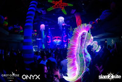 Fly Beyond Tonight: The Secret of Riviera | ONYX — photo 85