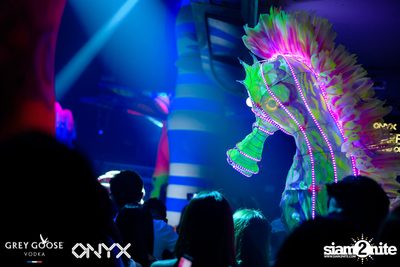 Fly Beyond Tonight: The Secret of Riviera | ONYX — photo 87