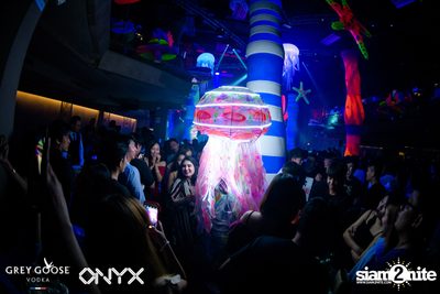 Fly Beyond Tonight: The Secret of Riviera | ONYX — photo 88
