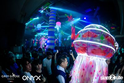 Fly Beyond Tonight: The Secret of Riviera | ONYX — photo 93