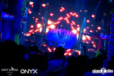 Fly Beyond Tonight: The Secret of Riviera | ONYX — photo 94