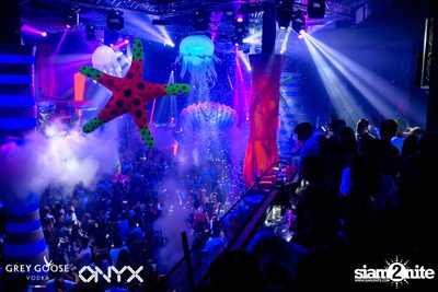 Fly Beyond Tonight: The Secret of Riviera | ONYX — photo 128