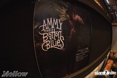 Ammy The Bottom Blues ที่ เมลโล่ ทองหล่อ — photo 36