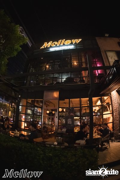 Ammy The Bottom Blues ที่ เมลโล่ ทองหล่อ — photo 38