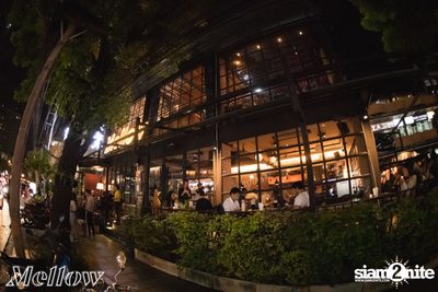 Ammy The Bottom Blues ที่ เมลโล่ ทองหล่อ — photo 39