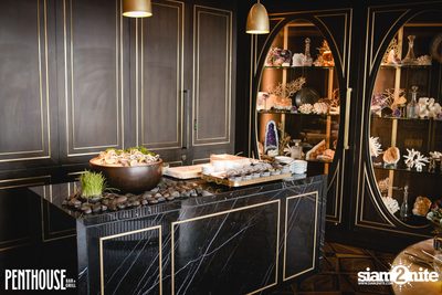 My Penthouse Sundays at Penthouse Bar & Grill — photo 82