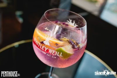 My Penthouse Sundays at Penthouse Bar & Grill — photo 144